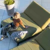 Double bain de soleil haut de gamme vert et noir "Terrasse"