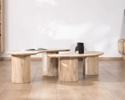 Duo de tables basses design épuré en manguier "Jappy" forme haricot