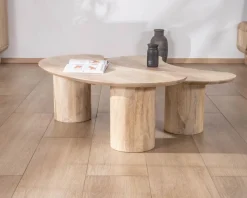 Duo de tables basses design épuré en manguier 