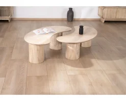 Duo de tables basses design épuré en manguier 