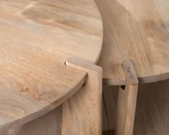 Duo de tables basses rondes en manguier naturel 