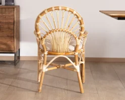 Elégant fauteuil de jardin en rotin avec assise rembourrée 