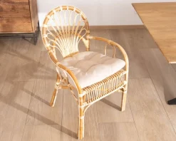 Elégant fauteuil de jardin en rotin avec assise rembourrée 