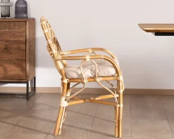Elégant fauteuil de jardin en rotin avec assise rembourrée 