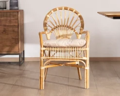 Elégant fauteuil de jardin en rotin avec assise rembourrée 