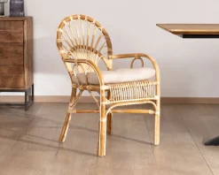 Elégant fauteuil de jardin en rotin avec assise rembourrée 