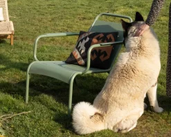 Fauteuil de jardin esprit rétro en métal vert 