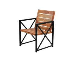 Lot de 2 chaises de jardin en bois et métal 