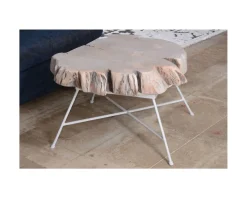 Table basse bois tronc pied metal "Nervure"