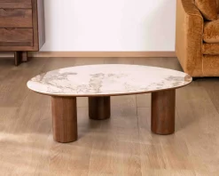Table basse design forme organique 