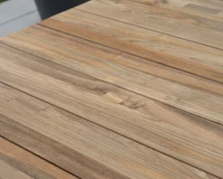 Table de jardin extensible 160 à 220 cm design contemporain 